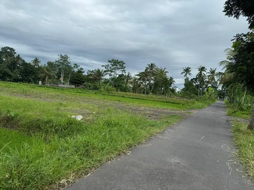 Tanah Murah Sleman, Cocok Bangun Villa