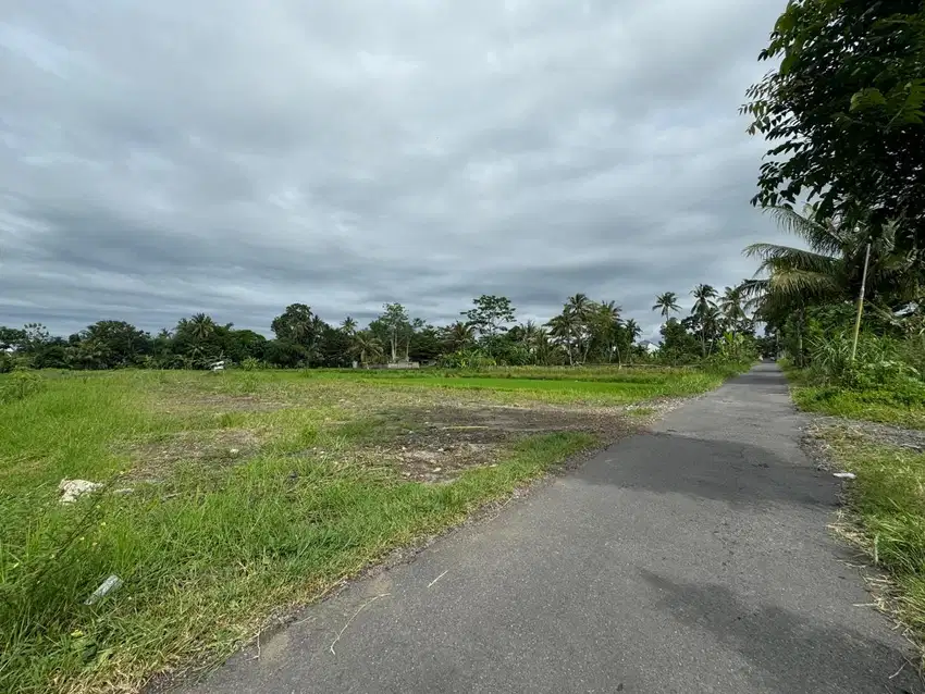 Tanah Murah Jogja Utara, Cocok Bangun Villa