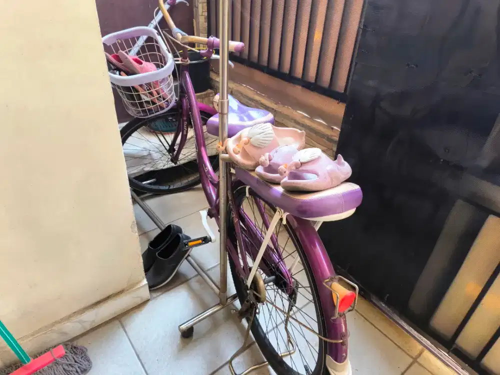 sepeda santai buat ke pasar asli china