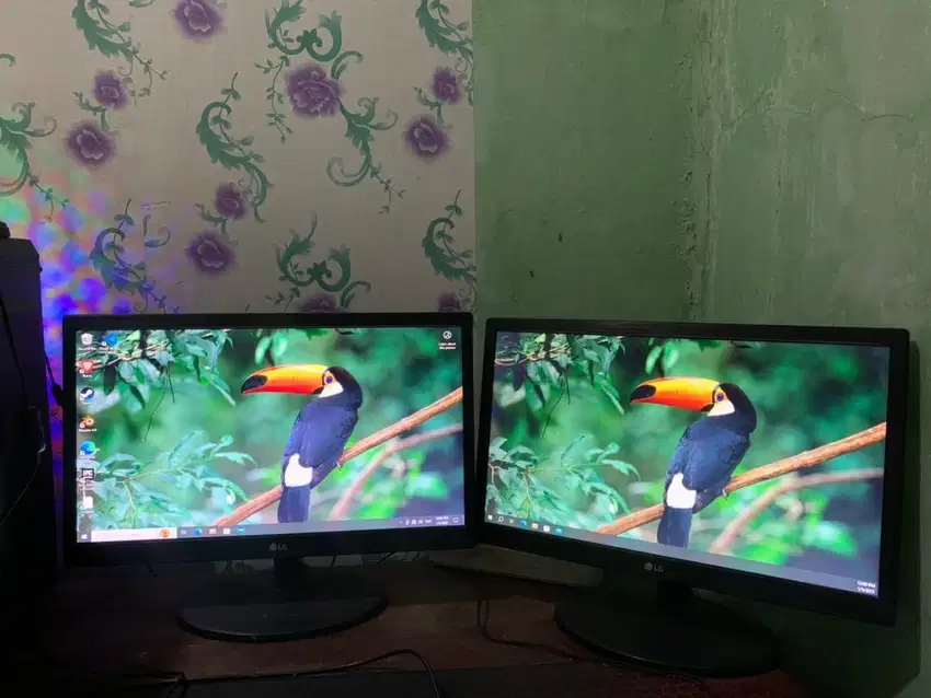 Monitor LG normal