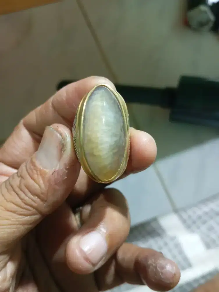 Pandan lawas sisik betik