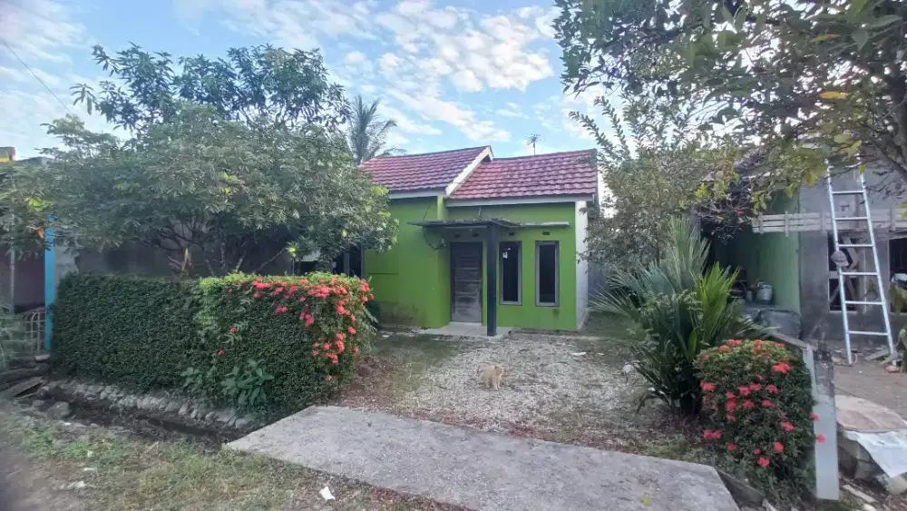 Rumah Minimalis Tipe 36