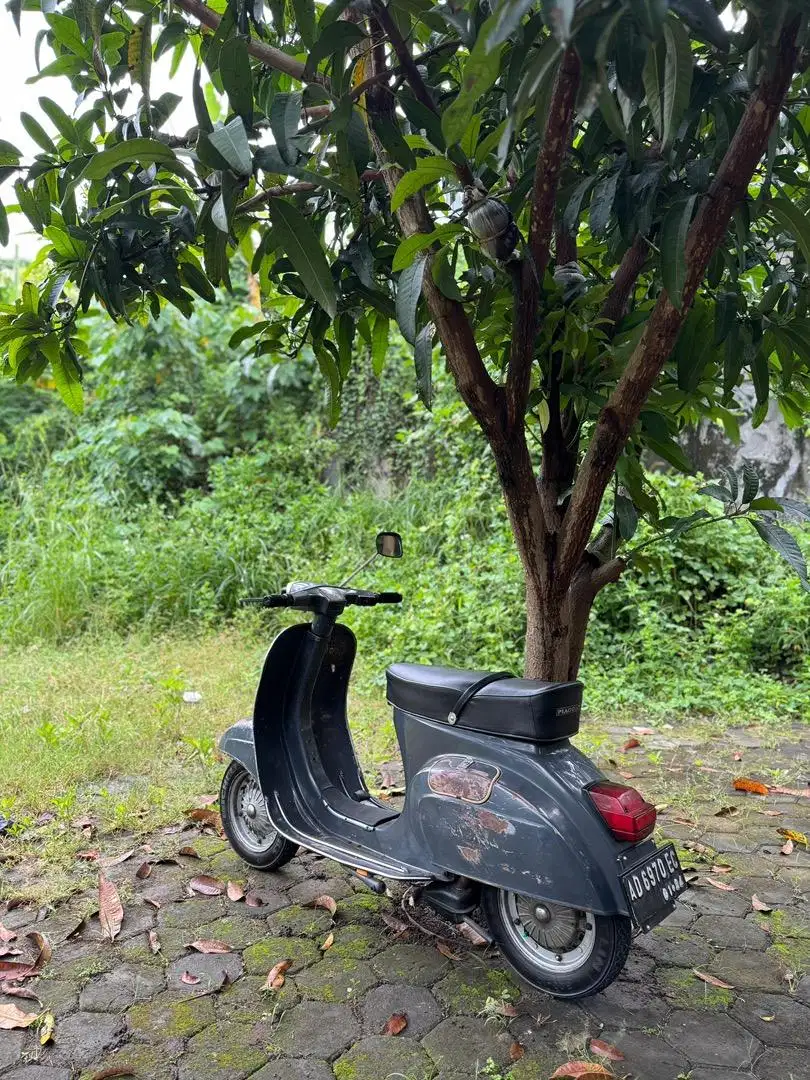 Vespa Special PTS 100 1983 Steel Grey