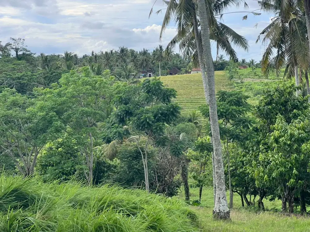 Jual tanah dekat pantai harga super murah di tabanan bali.