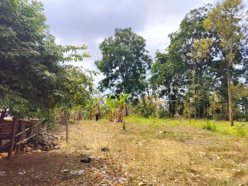 Tanah Pinggir Jalan Raya Sukapura Siap Bangun SHM