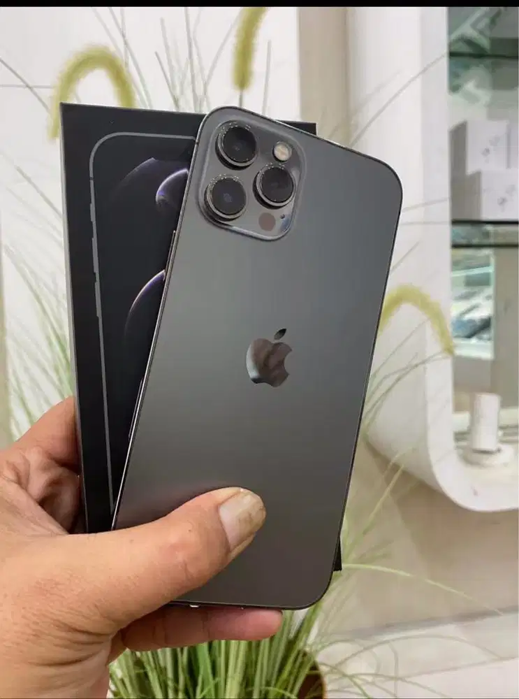 iphoen 12 promax 256 beacukai