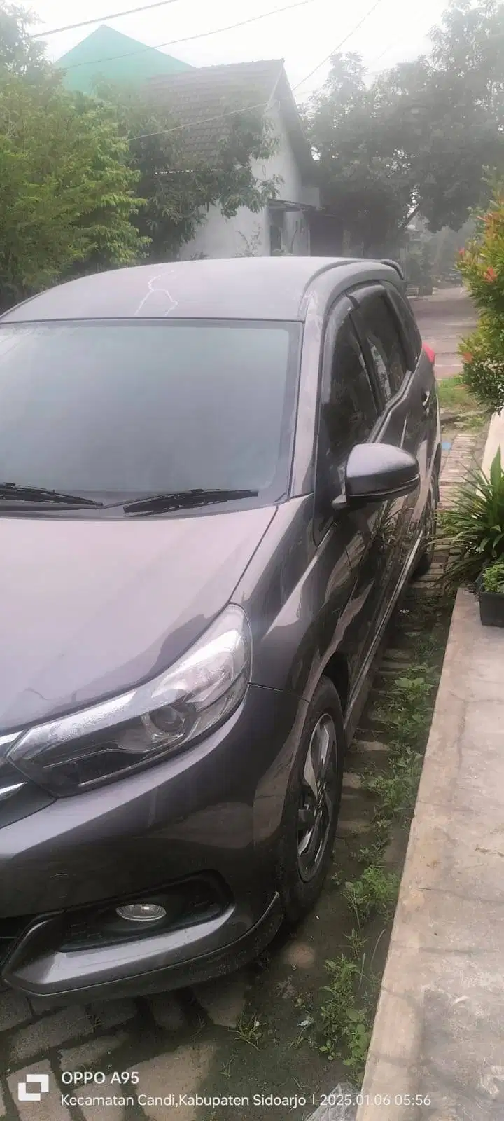 Mobil Simpanan MoBILIO E 2019