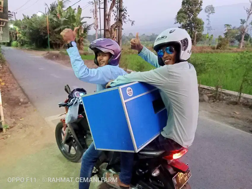 Mesin penetas telur otomatis