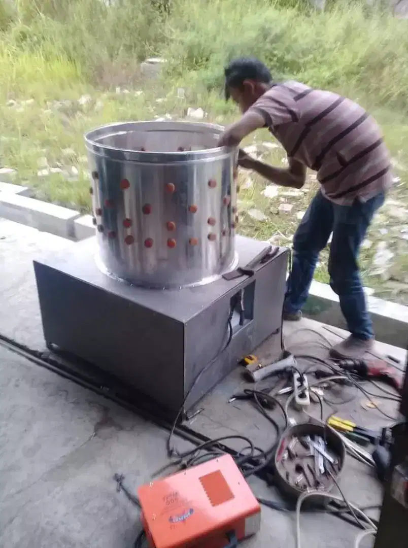 Mesen cabut bulu ayam