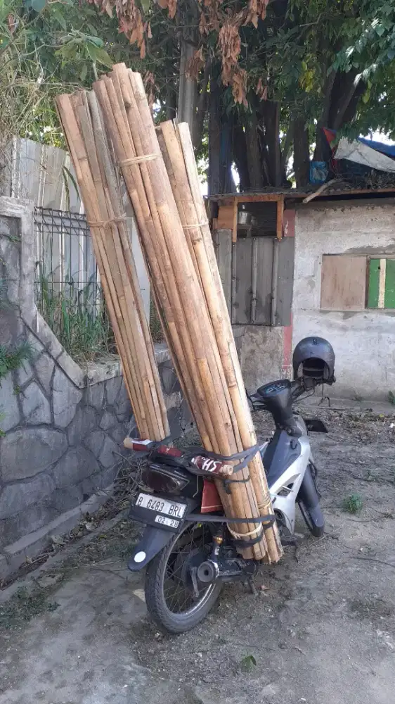 Reng Bambu untuk Pagar , Kandang Hewan , dll