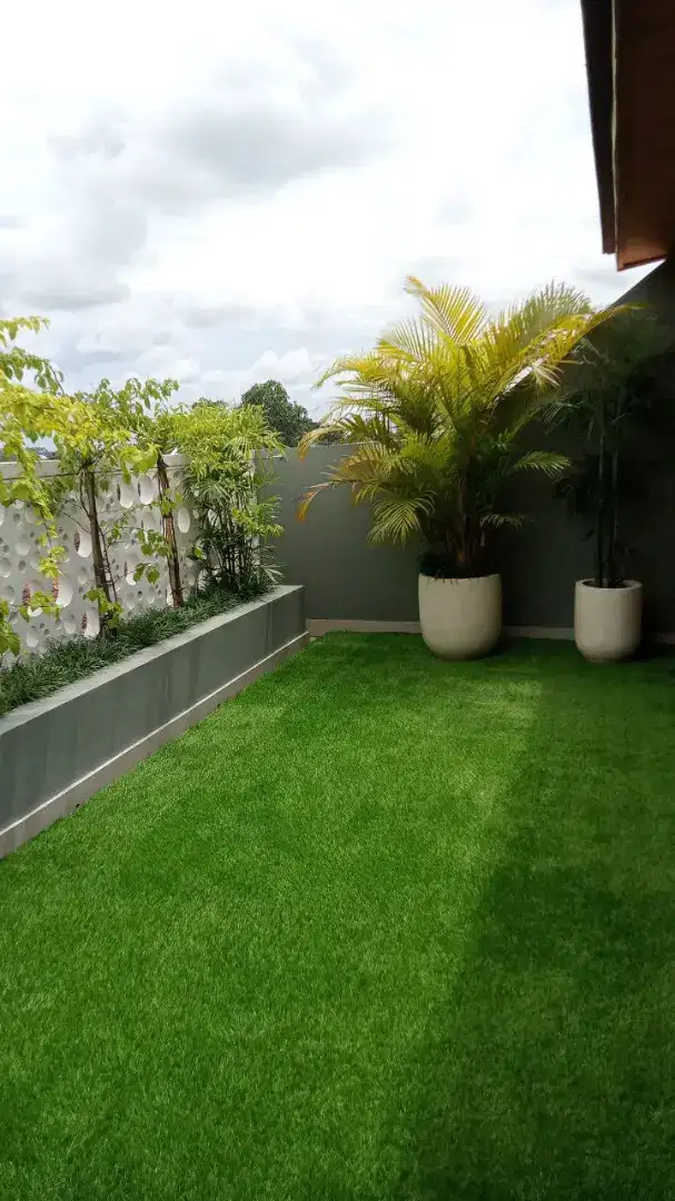 Jual Rumput Sintetis Buat Dekorasi Rumah