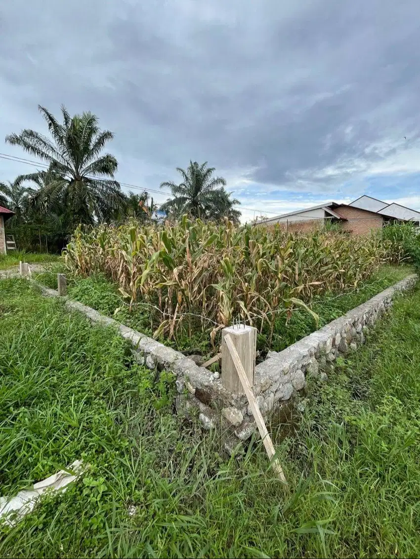 Tanah Kavling dijual, SHM, dekat kantor Bupati Pasaman Barat