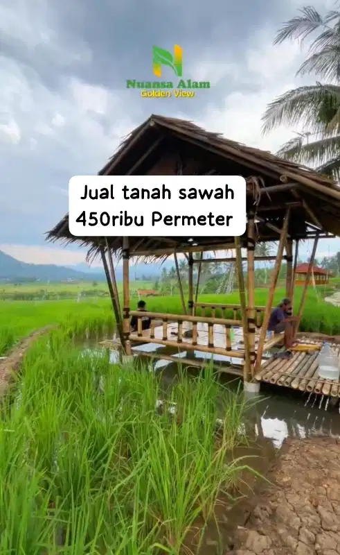 Jual Kavling Sawah View Pegunungan di Bogor