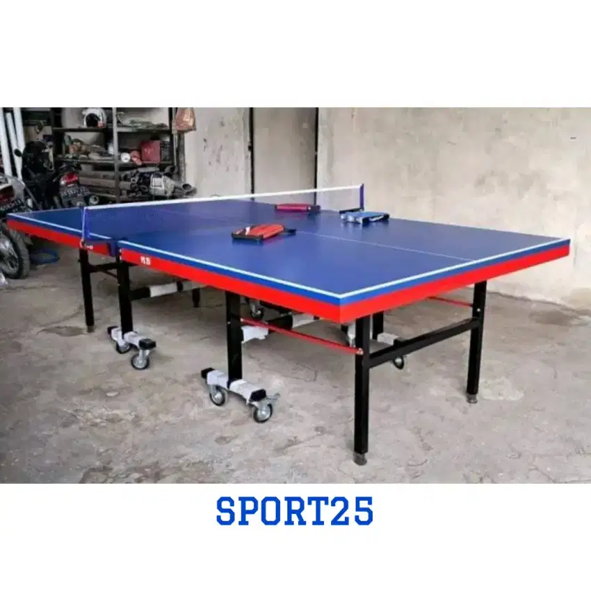 TENIS MEJA PINGPONG