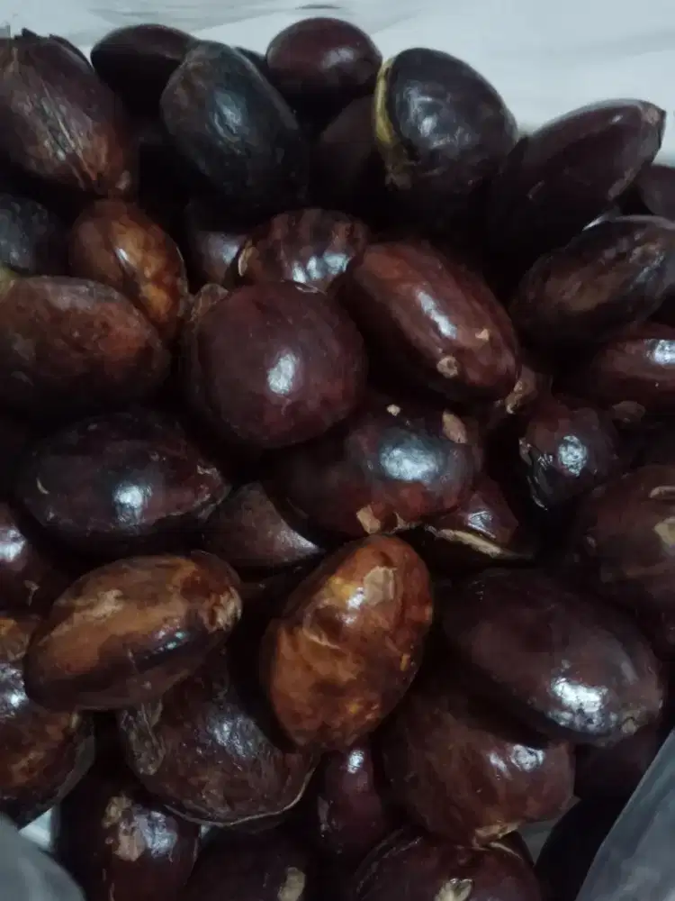 Suplayer sayur mayur