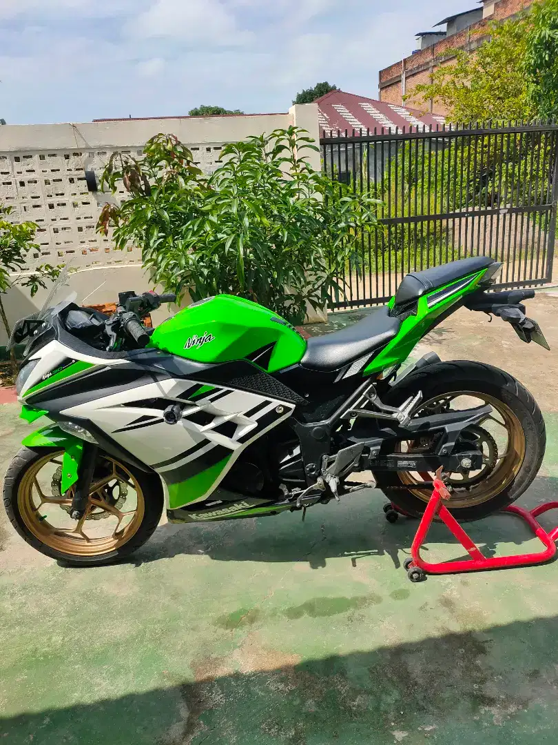 Kawasaki ninja 250 anniversary