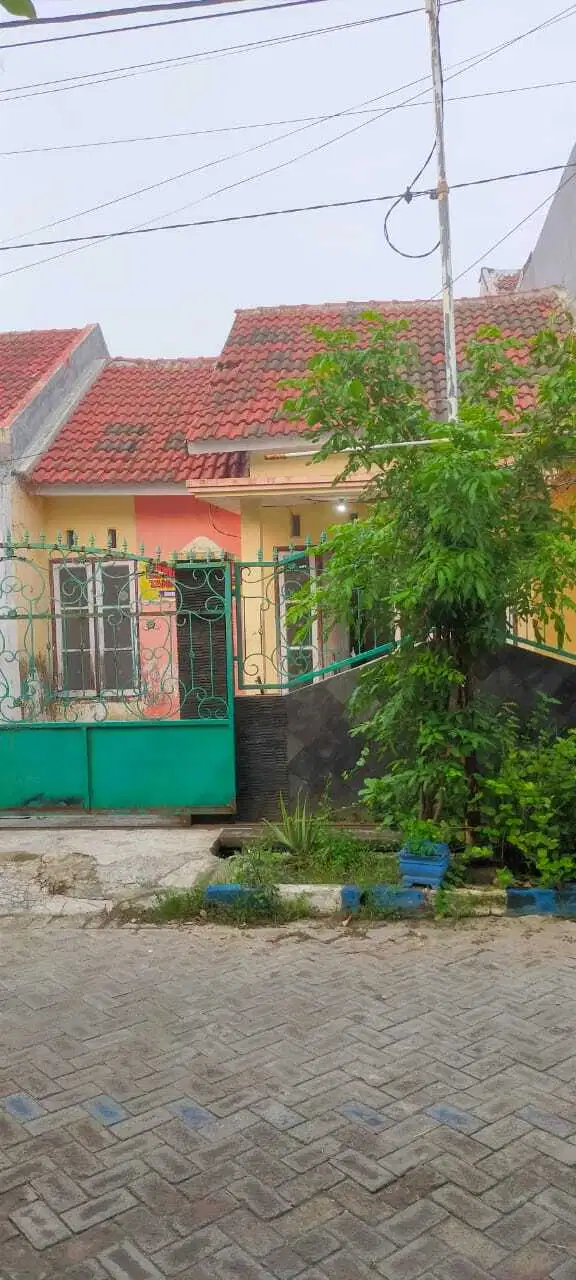 Rumah Murah Perum Surya Asri 2 Gedangan Sidoarjo