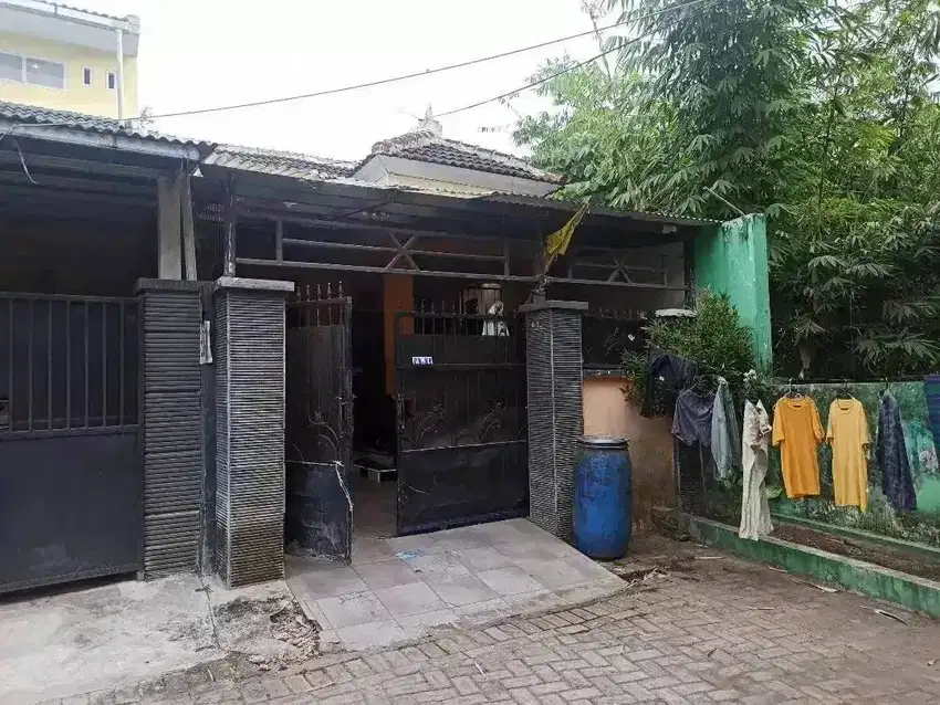 Rumah Dekat Kampus UNEJ Murah