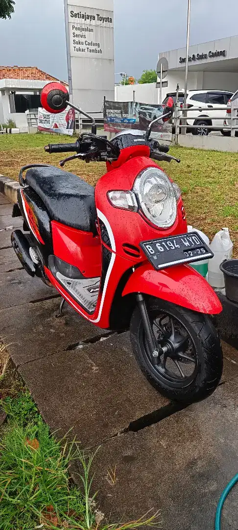 Honda Scoopy 2019 gress