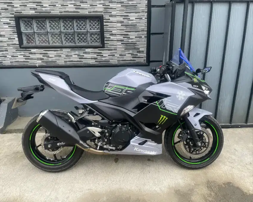 kawasaki ninja 250 2021 grey / abu