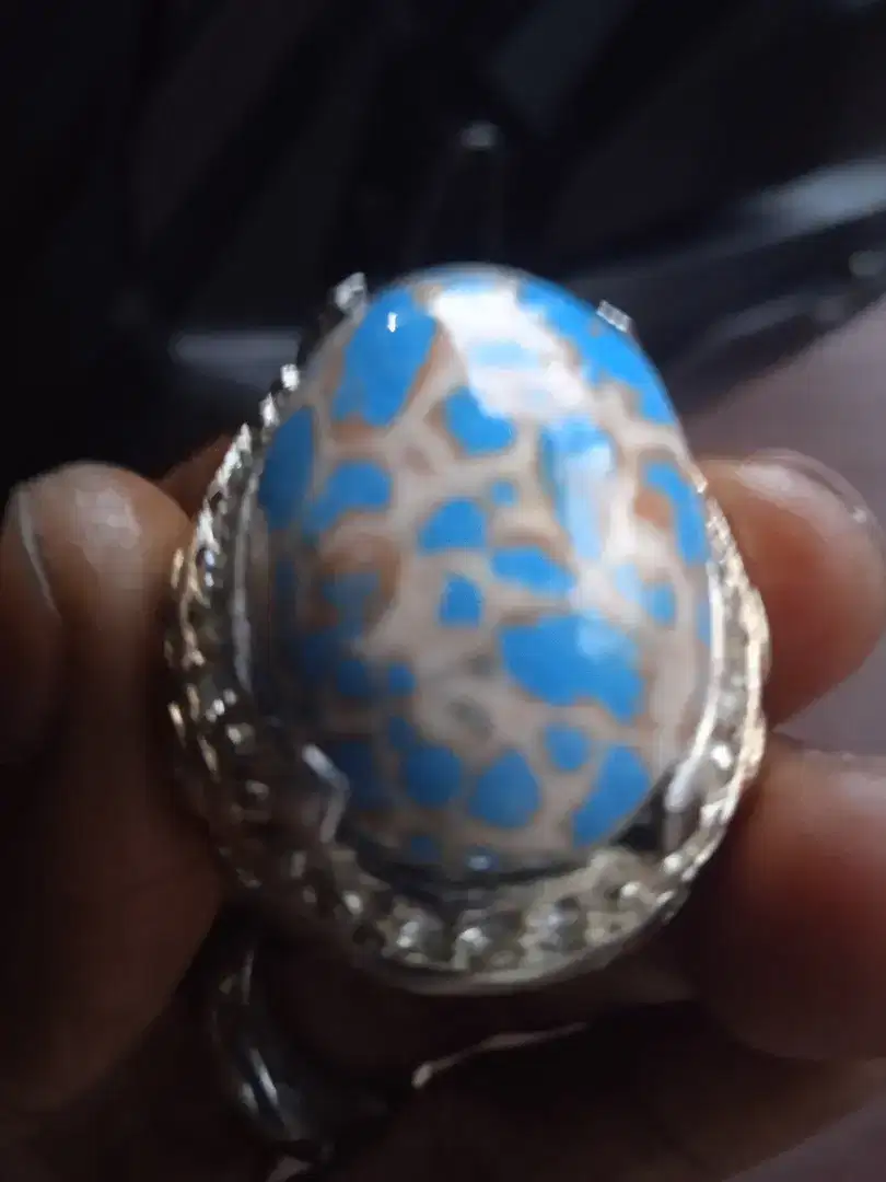 Batu virus 27*19*12