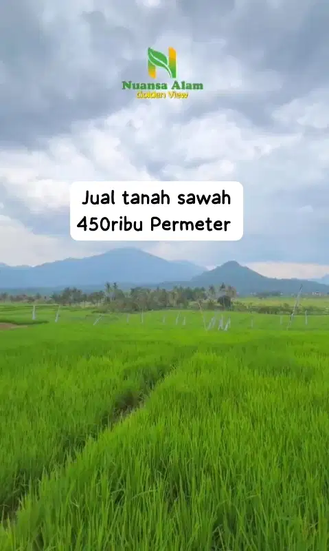 Jual tanah Kavling Sawah Akses Mobil