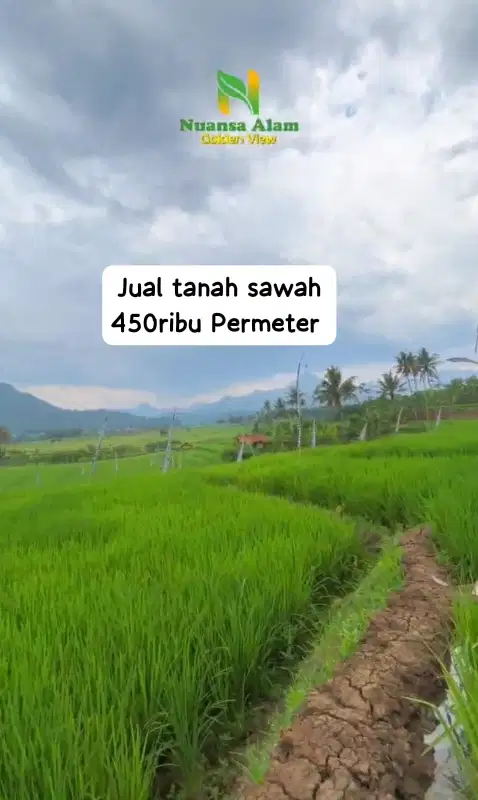 Jual Kavling Sawah Bonus Gazebo