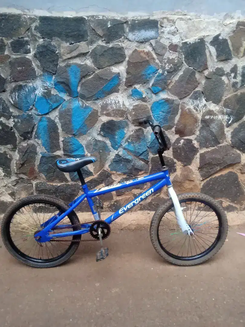 Sepeda Bmx Evergreen 20 inch