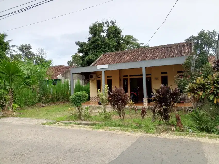 Rumah kampung Dijual murah