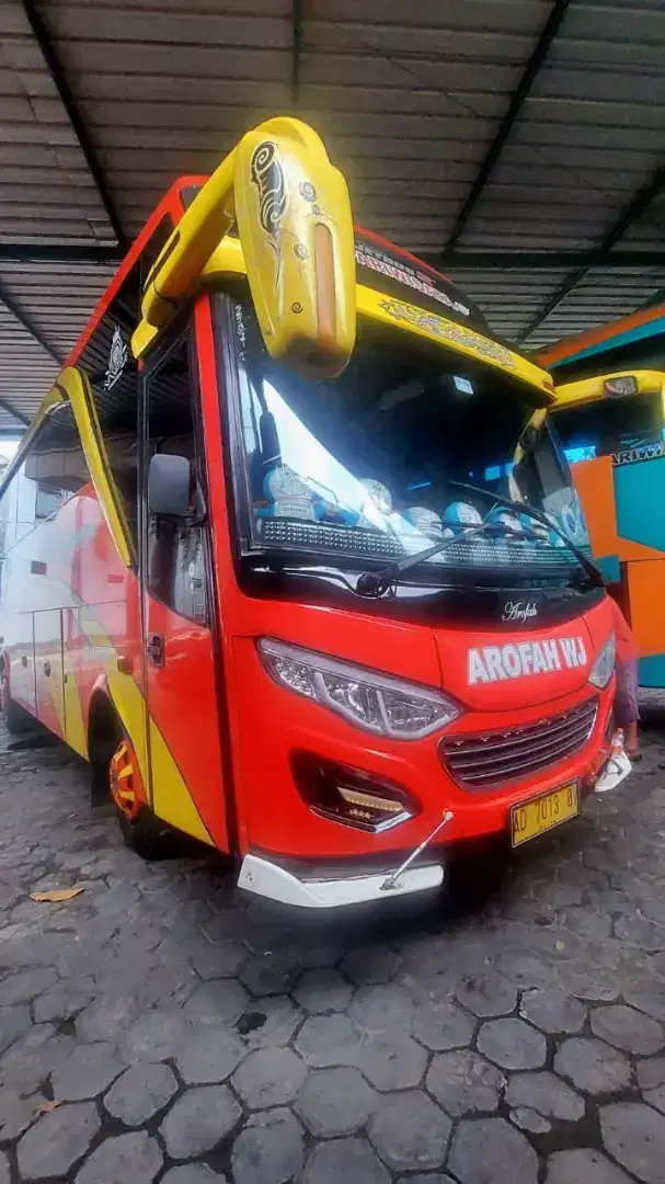 Bus Medium Isuzu NQR Long kursi 37