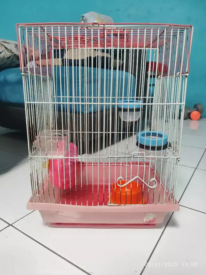 kandang hamster