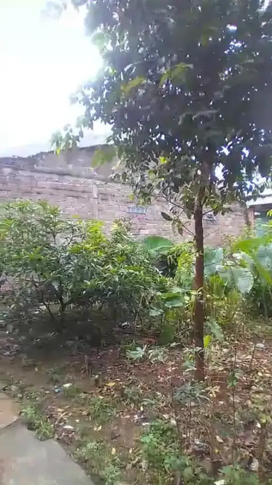 Dijual cepat (BU) Tanah 102 m2 di Cibinong, SHM