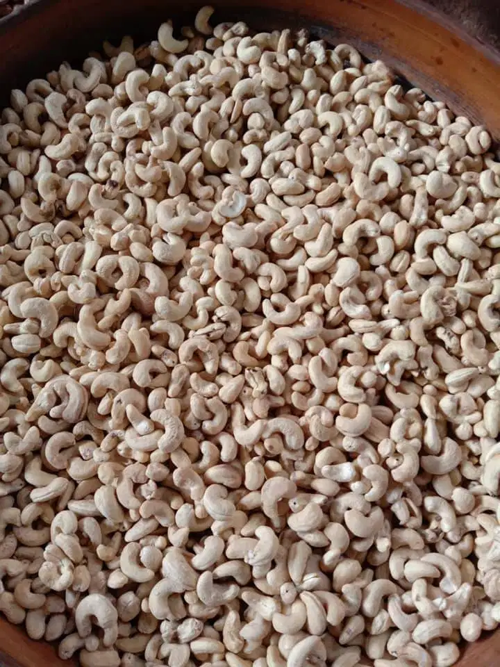 kacang mete asli wonogiri