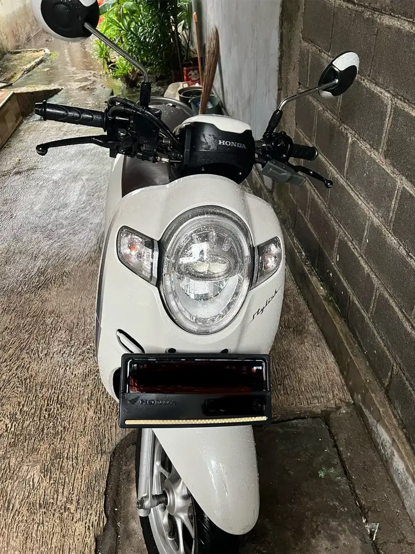 Honda Scoopy 2019