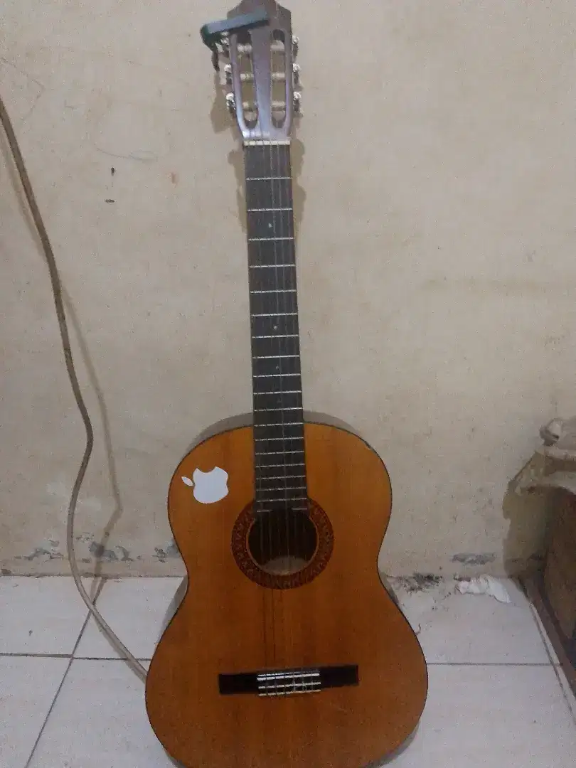 Gitar Yamaha C315