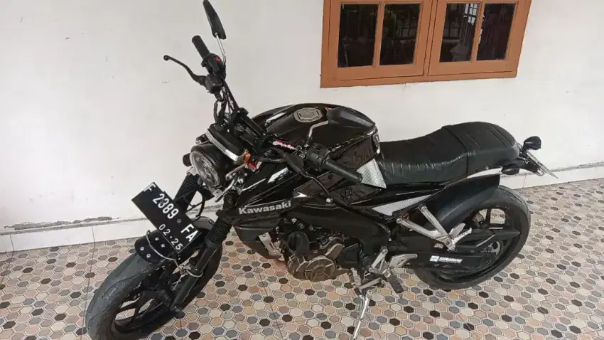 Kawasaki Pulsar NS 200