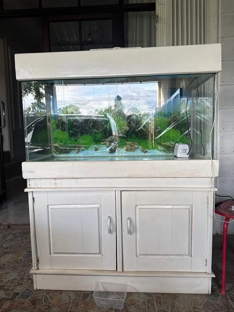 Dijual Aquarium Bekas Murah