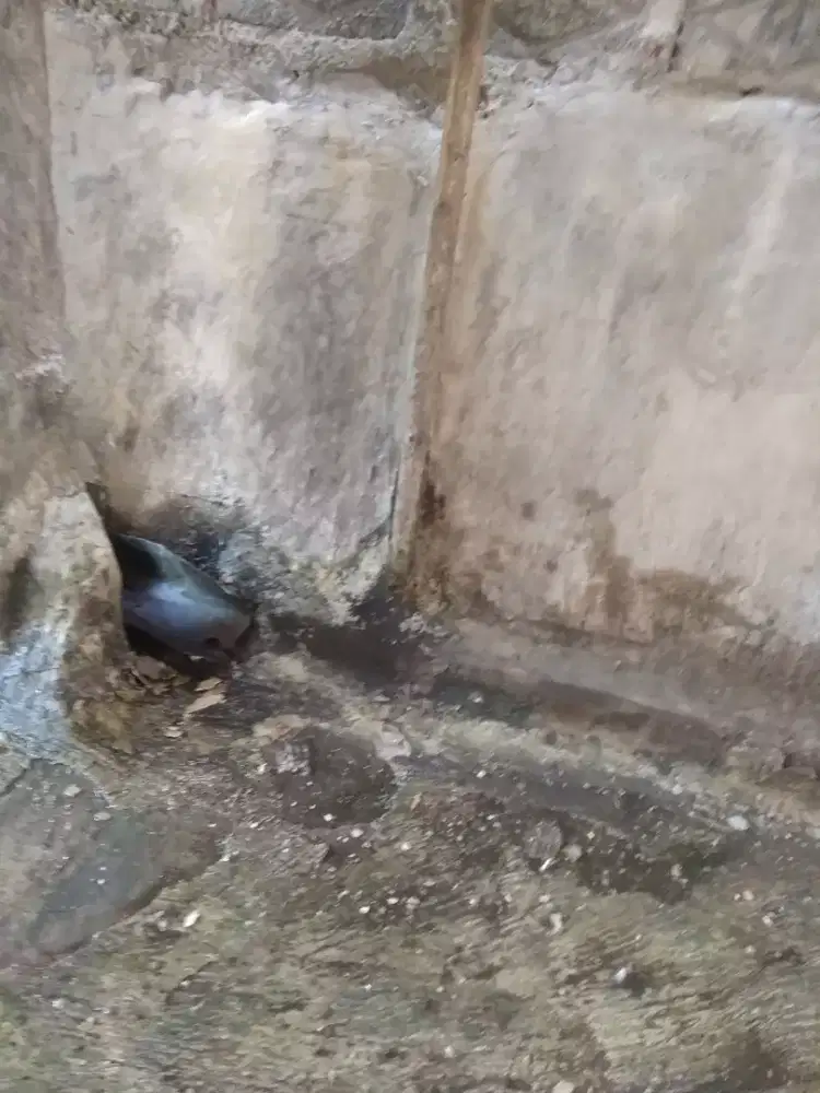 Siap mengerjakan apa aja renovasi atau bocoran