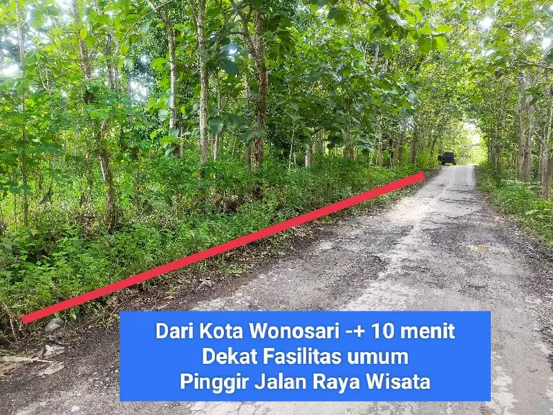 Jual Tanah strategis di Wisata Goa Pindul Bejiharjo Gunungkidul