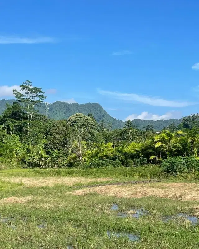 Tanah kawasan wisata dengan view alam yang menawan di karangasem