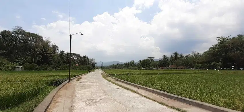 Murah Banget tanah di Jl Godean , SHM cocok bangun Villa ,luas 667 m