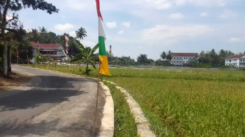 VIEW SAWAH: 100 Jt-an Tanah Dijual Sleman, 1 Menit Jl. Godean