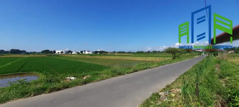 Tanah view persawahan di Banyudono Boyolali