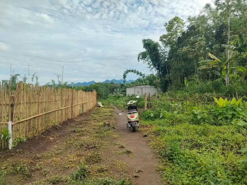 Tanah Kavling Tumpang Malang Bagian Timur