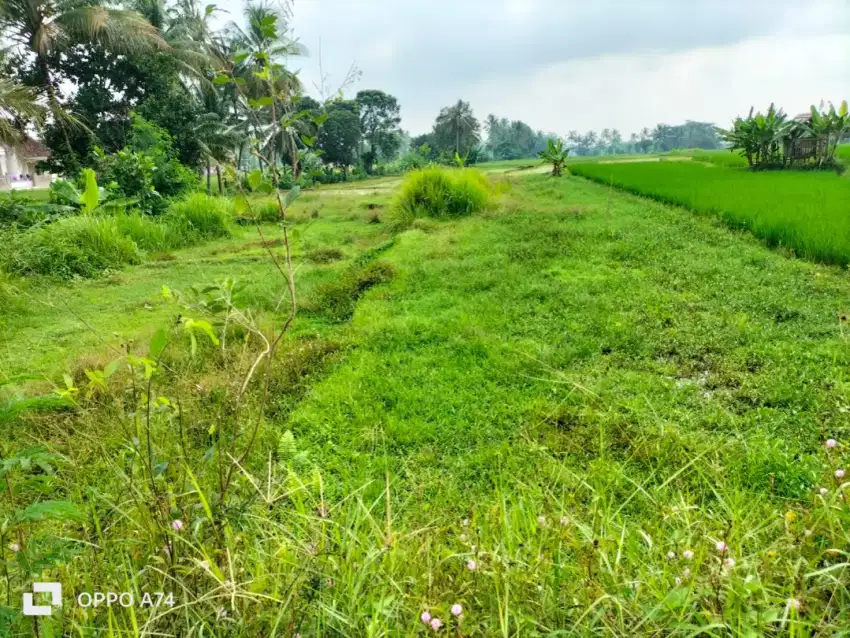 Dijual Tanah Pinggir jalan SHM 1.060 m lokasi Cipicung Kab. Kuningan