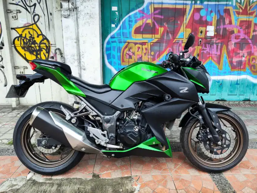 Kawasaki Z250 FI 2014