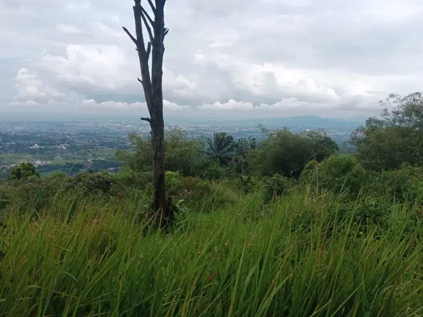 Tanah bagus rata view lepas ke gunung+kota untuk villa+wisata