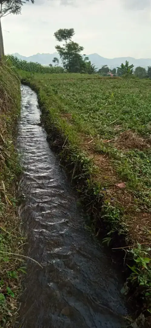 Tanah kebun akses mobil pinggir jalan murah