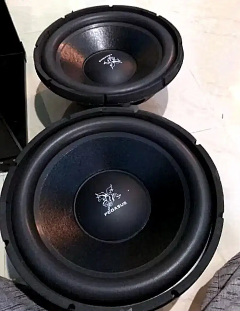 speaker subwoofer 15 inchi merk pegasus double coil