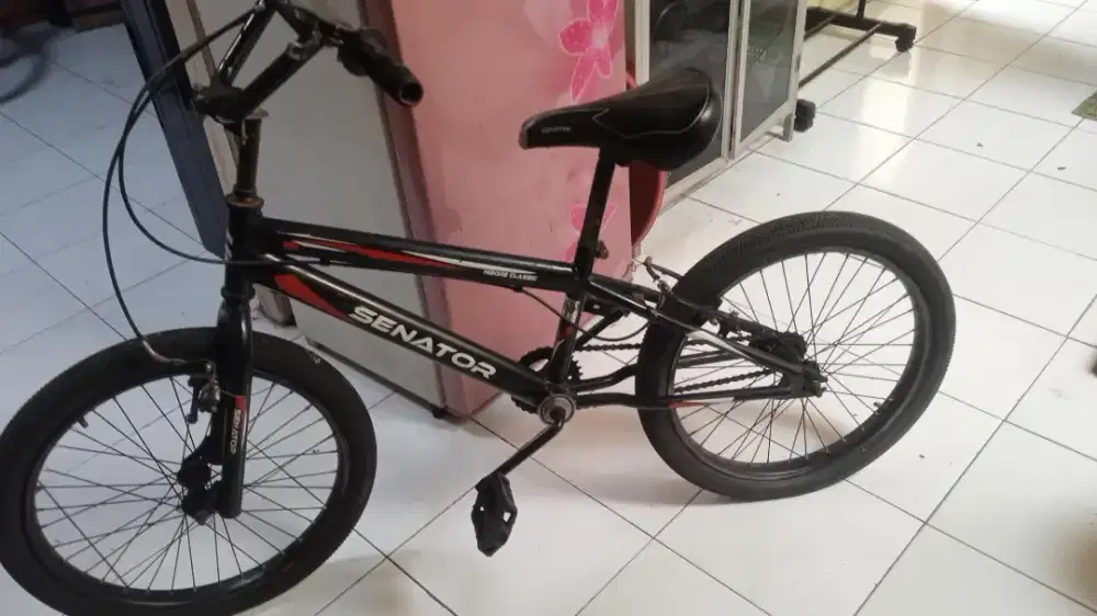Sepeda senator anak 20 inch